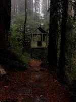 Casita bosque California