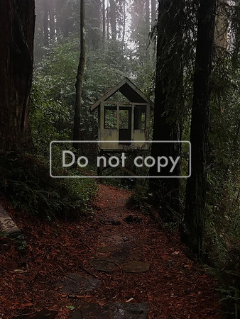 Casita bosque California